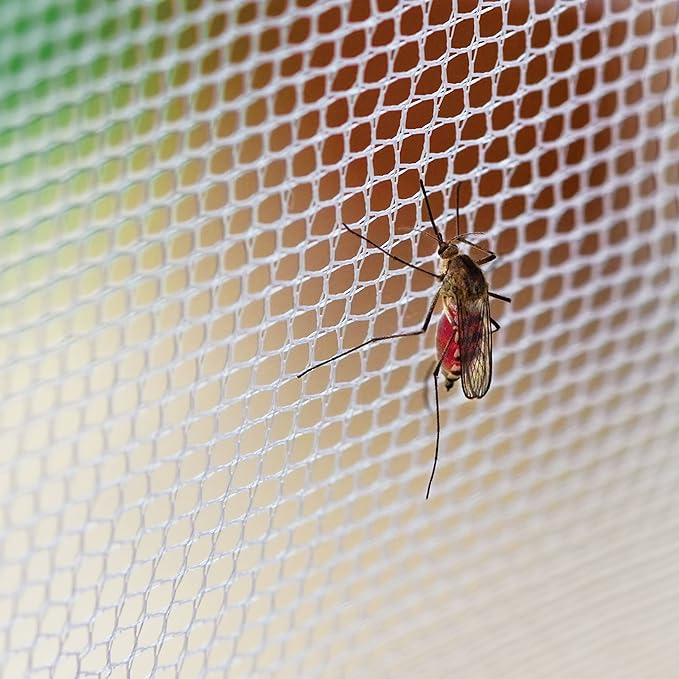 Accessoires de tente moustiqua - Outdoor Camping Mosquito Net avis et prix